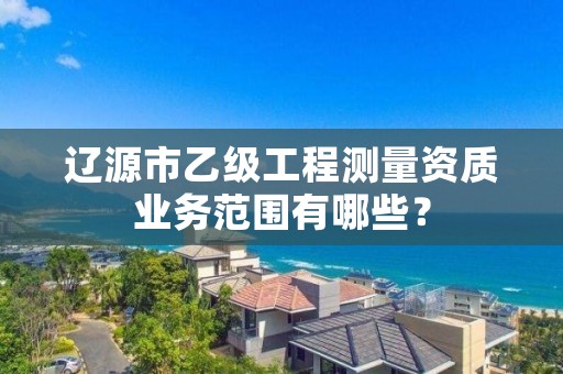辽源市乙级工程测量资质业务范围有哪些？