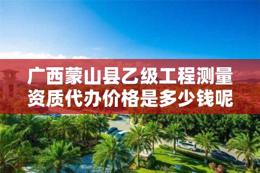 广西蒙山县乙级工程测量资质代办价格是多少钱呢?