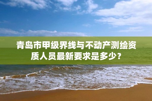 青岛市甲级界线与不动产测绘资质人员最新要求是多少?