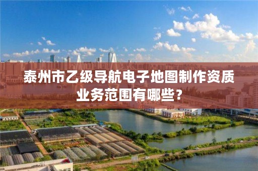 泰州市乙级导航电子地图制作资质业务范围有哪些?