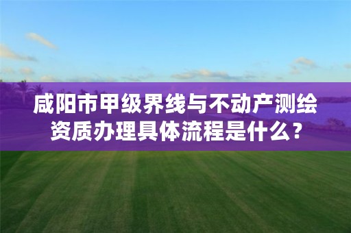 咸阳市甲级界线与不动产测绘资质办理具体流程是什么?