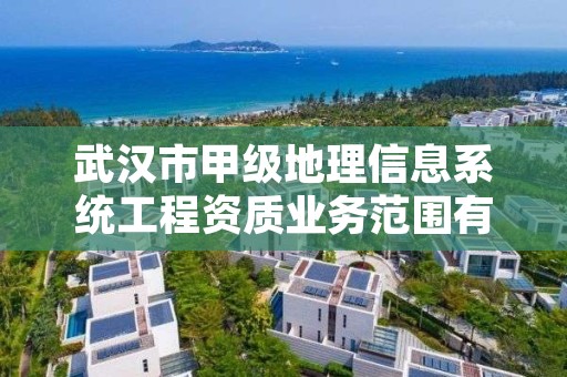 武汉市甲级地理信息系统工程资质业务范围有哪些?