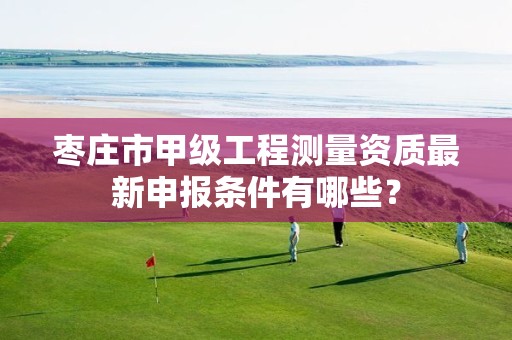 枣庄市甲级工程测量资质最新申报条件有哪些?