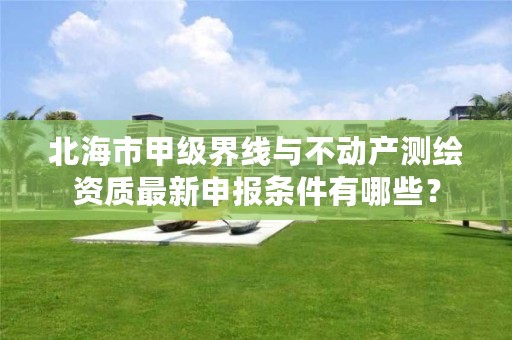 北海市甲级界线与不动产测绘资质最新申报条件有哪些?