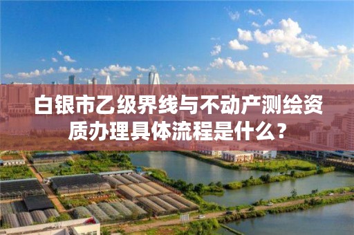 白银市乙级界线与不动产测绘资质办理具体流程是什么?