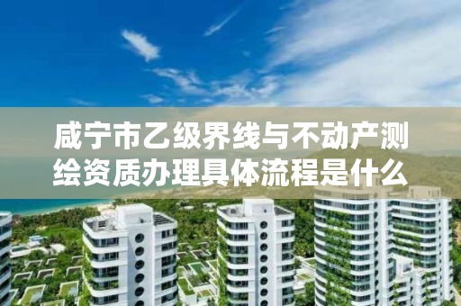 咸宁市乙级界线与不动产测绘资质办理具体流程是什么?