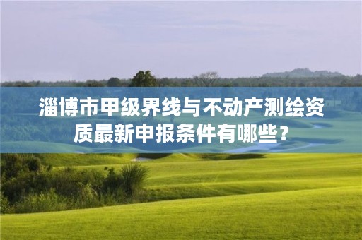 淄博市甲级界线与不动产测绘资质最新申报条件有哪些?