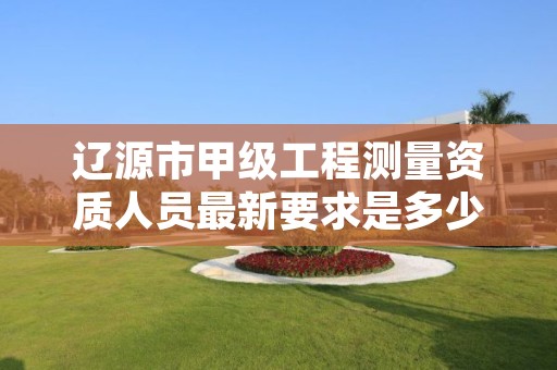 辽源市甲级工程测量资质人员最新要求是多少人？