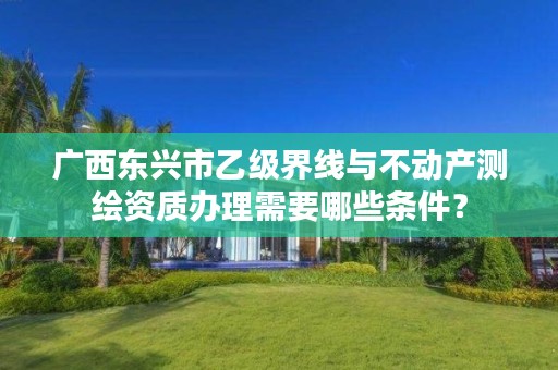 广西东兴市乙级界线与不动产测绘资质办理需要哪些条件?