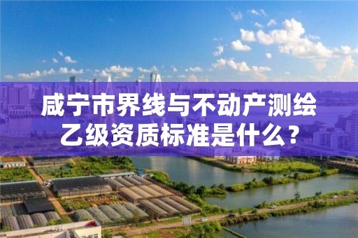 咸宁市界线与不动产测绘乙级资质标准是什么?