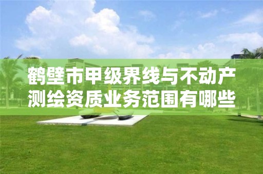 鹤壁市甲级界线与不动产测绘资质业务范围有哪些?