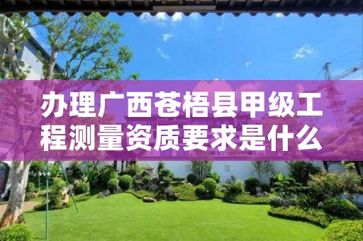 办理广西苍梧县甲级工程测量资质要求是什么?