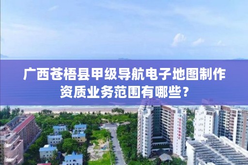 广西苍梧县甲级导航电子地图制作资质业务范围有哪些?
