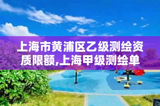上海市黄浦区乙级测绘资质限额,上海甲级测绘单位