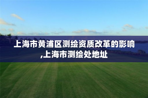 上海市黄浦区测绘资质改革的影响,上海市测绘处地址