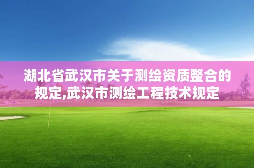 湖北省武汉市关于测绘资质整合的规定,武汉市测绘工程技术规定