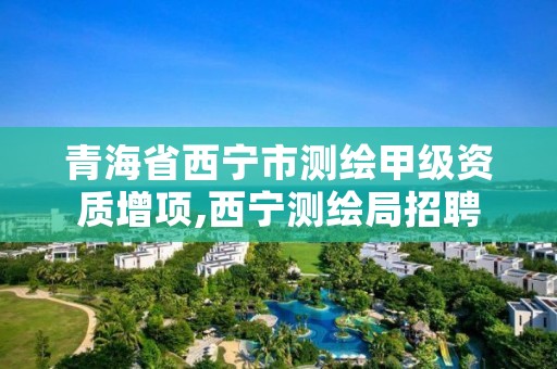 青海省西宁市测绘甲级资质增项,西宁测绘局招聘