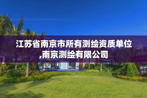 江苏省南京市所有测绘资质单位,南京测绘有限公司