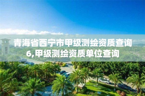 青海省西宁市甲级测绘资质查询6,甲级测绘资质单位查询
