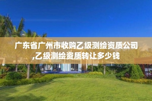 广东省广州市收购乙级测绘资质公司,乙级测绘资质转让多少钱