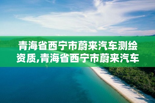 青海省西宁市蔚来汽车测绘资质,青海省西宁市蔚来汽车测绘资质公司