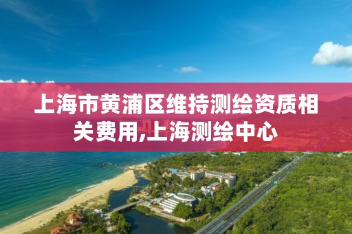 上海市黄浦区维持测绘资质相关费用,上海测绘中心