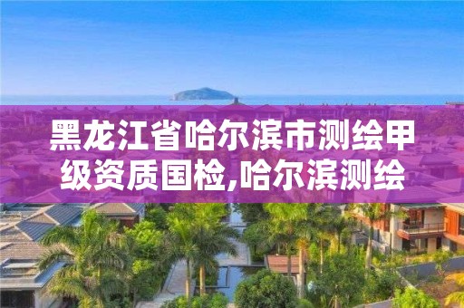 黑龙江省哈尔滨市测绘甲级资质国检,哈尔滨测绘有限公司