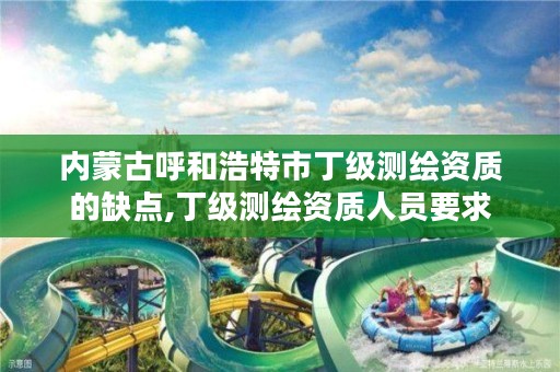 内蒙古呼和浩特市丁级测绘资质的缺点,丁级测绘资质人员要求