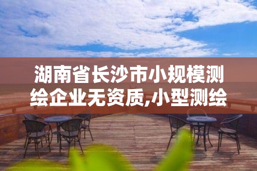 湖南省长沙市小规模测绘企业无资质,小型测绘公司