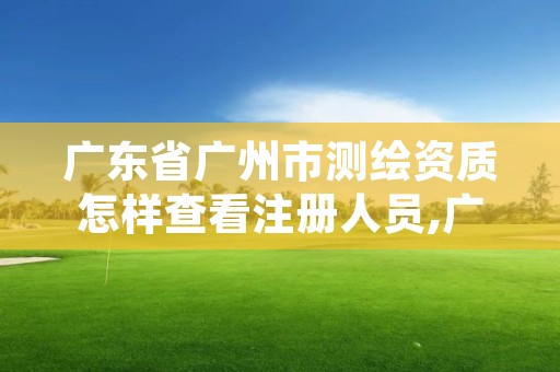 广东省广州市测绘资质怎样查看注册人员,广东省测绘资质管理系统