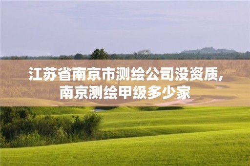 江苏省南京市测绘公司没资质,南京测绘甲级多少家