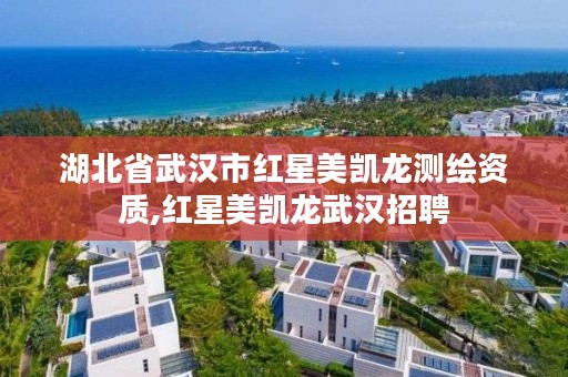 湖北省武汉市红星美凯龙测绘资质,红星美凯龙武汉招聘