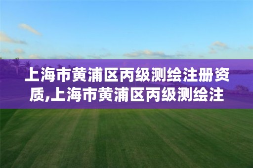 上海市黄浦区丙级测绘注册资质,上海市黄浦区丙级测绘注册资质查询
