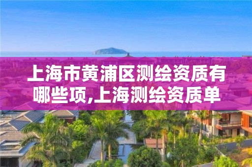 上海市黄浦区测绘资质有哪些项,上海测绘资质单位