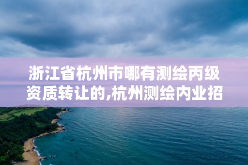 浙江省杭州市哪有测绘丙级资质转让的,杭州测绘内业招聘信息2020