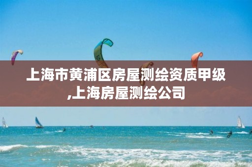 上海市黄浦区房屋测绘资质甲级,上海房屋测绘公司