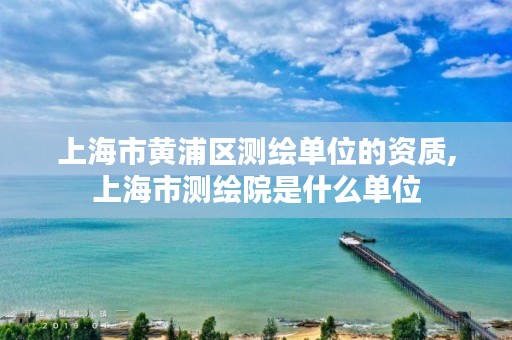 上海市黄浦区测绘单位的资质,上海市测绘院是什么单位