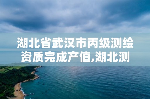湖北省武汉市丙级测绘资质完成产值,湖北测绘资质查询