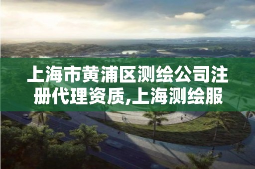 上海市黄浦区测绘公司注册代理资质,上海测绘服务中心