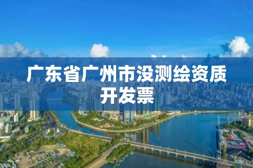 广东省广州市没测绘资质开发票