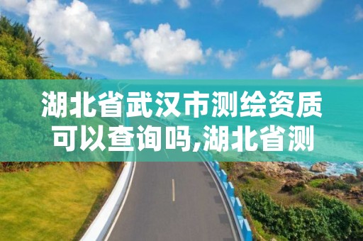 湖北省武汉市测绘资质可以查询吗,湖北省测绘资质管理系统