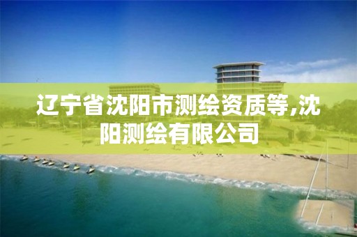 辽宁省沈阳市测绘资质等,沈阳测绘有限公司