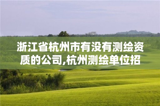 浙江省杭州市有没有测绘资质的公司,杭州测绘单位招聘
