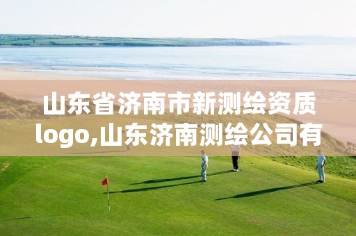 山东省济南市新测绘资质logo,山东济南测绘公司有哪些