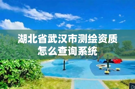 湖北省武汉市测绘资质怎么查询系统