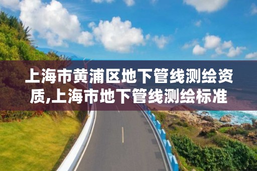 上海市黄浦区地下管线测绘资质,上海市地下管线测绘标准