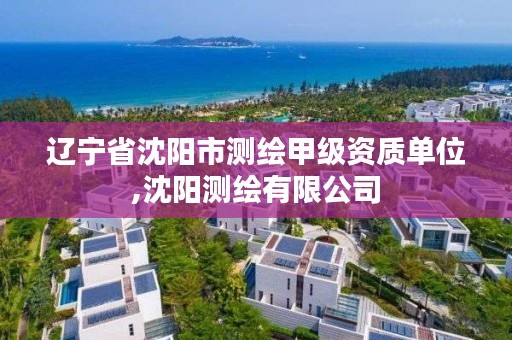 辽宁省沈阳市测绘甲级资质单位,沈阳测绘有限公司