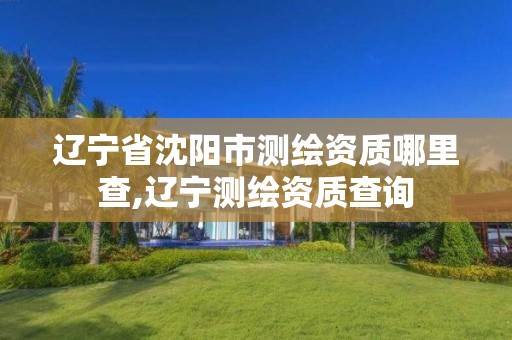 辽宁省沈阳市测绘资质哪里查,辽宁测绘资质查询