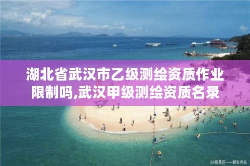 湖北省武汉市乙级测绘资质作业限制吗,武汉甲级测绘资质名录
