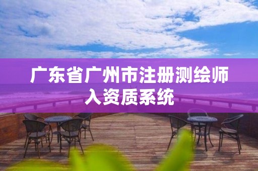 广东省广州市注册测绘师入资质系统
